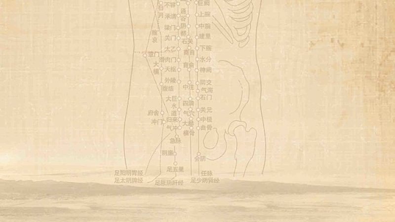 全身推拿养生馆：收费标准背后的秘密