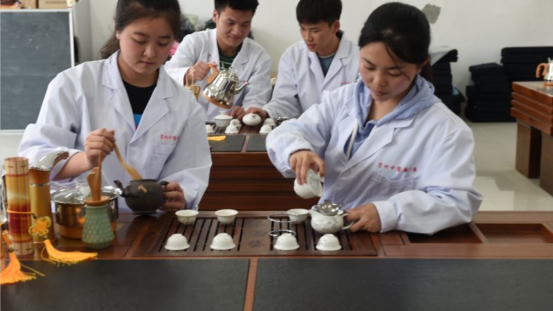 体育赛事拉伸按摩床：规格参数解析与选购要点